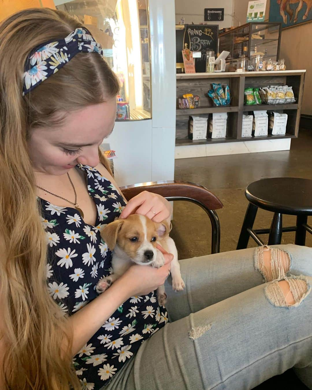 ダーシー・ローズ・バーンズさんのインスタグラム写真 - (ダーシー・ローズ・バーンズInstagram)「Today a stranger said #HoldMyBeer except instead of a beer, it was a puppy #dogsofinstagram 📸: @realrhp」9月2日 14時40分 - darcyrosebyrnes