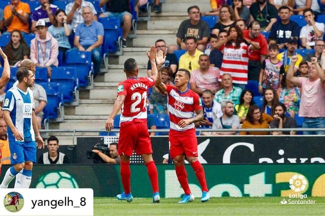 グラナダCFさんのインスタグラム写真 - (グラナダCFInstagram)「Posted • @yangelh_8 Feliz de debutar con el @granadacf ⚪️🔴 Buena victoria Equipo +3 💪🏽 Seguimos creciendo 📈」9月2日 15時15分 - granadacf