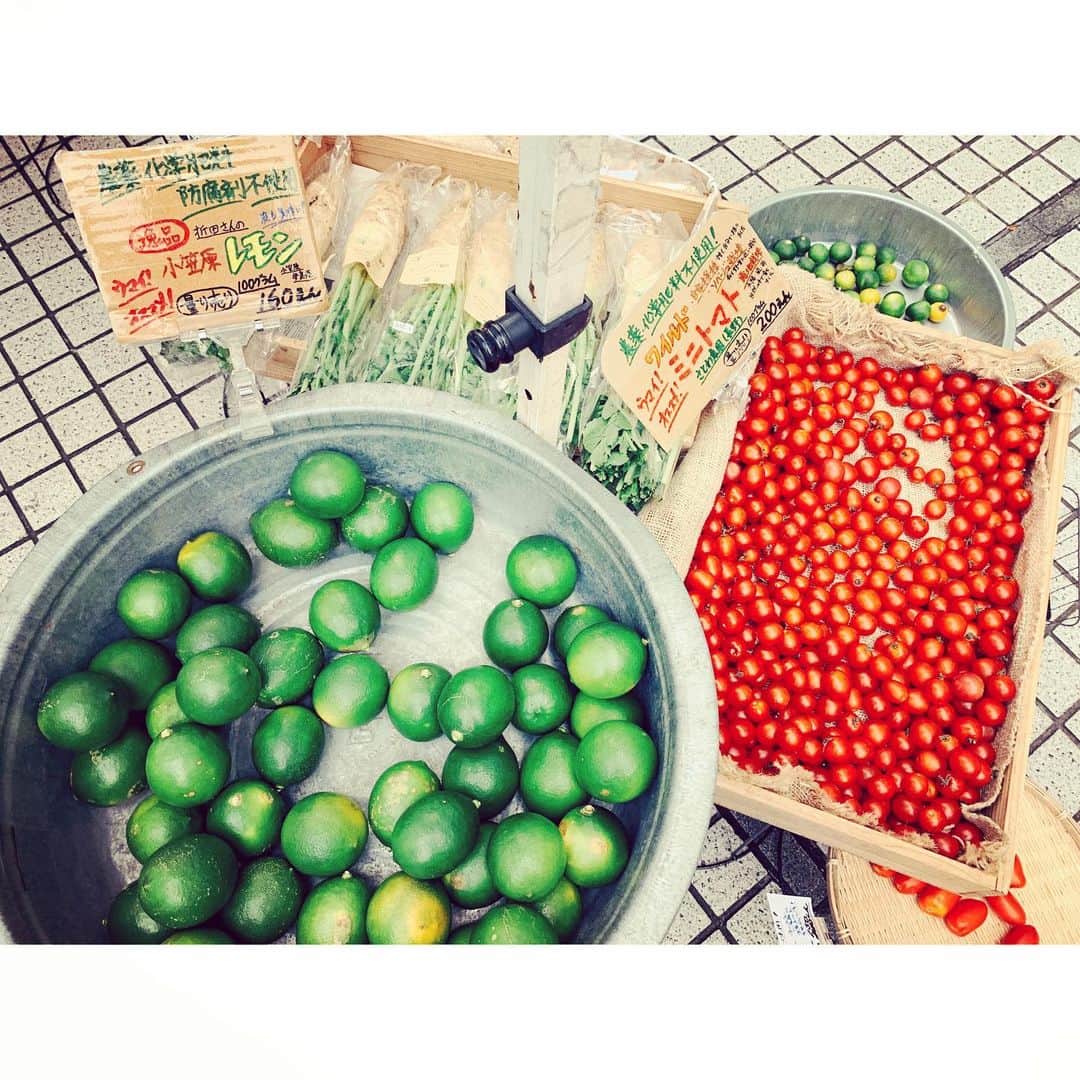 紗栄子さんのインスタグラム写真 - (紗栄子Instagram)「昨日行った青山のファーマーズマーケット🍇🍋🥕 お目当ての寿栄海苔の他にも、山梨産のラベンダーのジュレや大好きなパッションフルーツ、お味噌にレモングラス、コブミカンの皮、その他にもたくさんの有機野菜をゲットすることができました💘💘 昨夜、小笠原の折田さんのレモンでレモネードを作ったのですが、酸味が控えめでとてもとても美味しかった💘💘」9月2日 15時33分 - saekoofficial