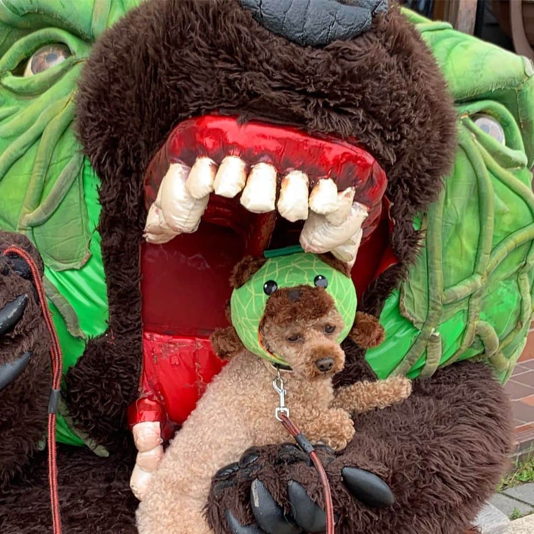 メロン熊【公式】のグルメインスタ