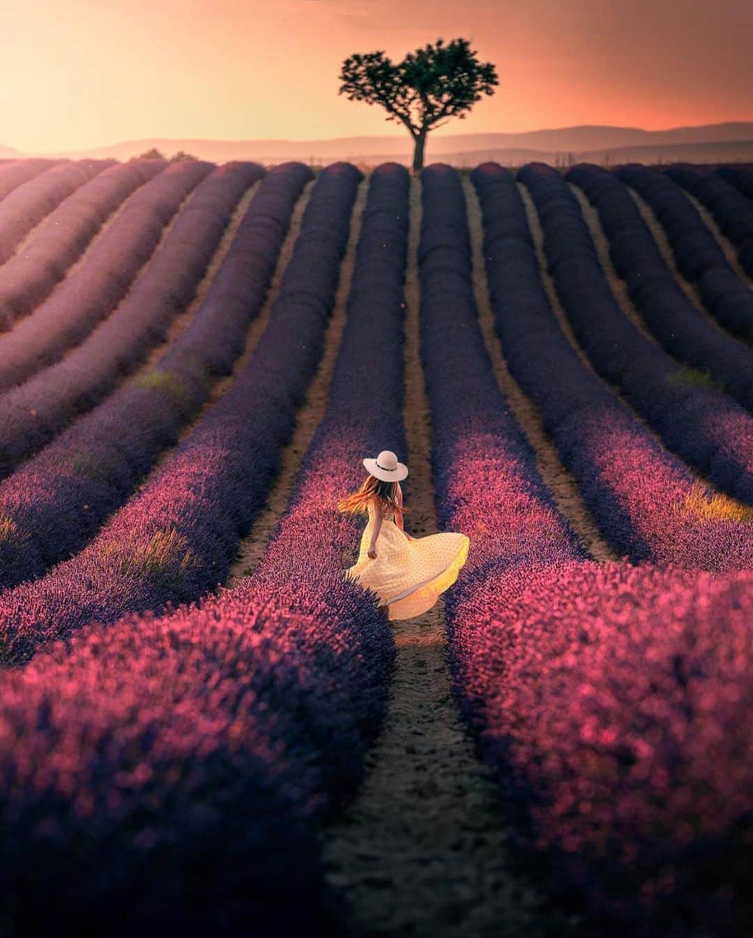 Wonderful Placesさんのインスタグラム写真 - (Wonderful PlacesInstagram)「Lavender field in Provence - France ✨💜💜💜✨ . Picture by ✨✨@ilhan1077✨✨ #wonderful_places for a feature 💜」9月2日 16時33分 - wonderful_places