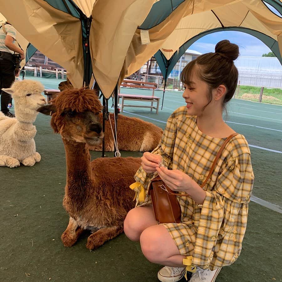 鈴原ゆりあのグルメインスタ