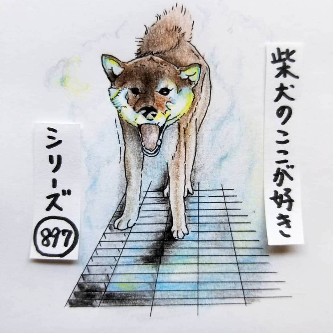 ハナとソラさんのインスタグラム写真 - (ハナとソラInstagram)「#ここ柴部 『柴犬のここが好きシリーズ897』 散歩の途中に イリュージョンを始めるとこ。  その場に応じた表情を心得てるね。 #イヌージョン * No.897 “The illusion!” * モデルは @daikichi0906 さんとこの大吉くんです💕 #柴犬のここが好き #favoritepartsofshibainu #illustration #dogart #drowing #shibastagram #shibainu #colorpencil #illusion #柴犬 #しばいぬ #しばすたぐらむ #いぬすたぐらむ #イラスト #いらすとぐらむ #色鉛筆 #ミスト」9月2日 17時01分 - nsdikm_hanasora