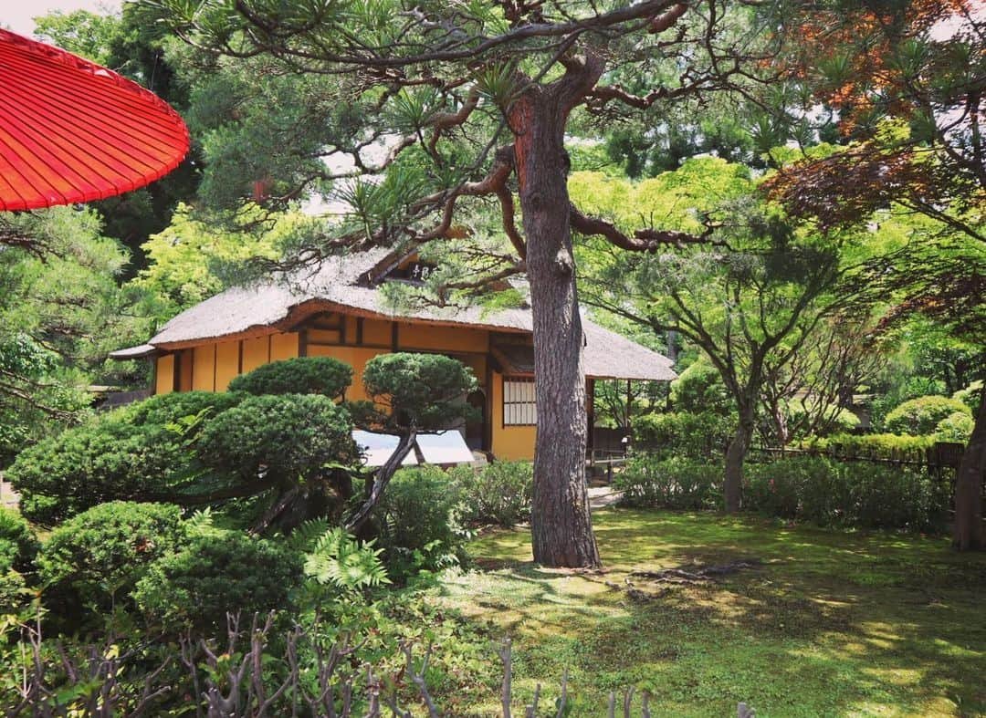 Rediscover Fukushimaさんのインスタグラム写真 - (Rediscover FukushimaInstagram)「Rinkaku tea house in Aizu-Wakamatsu City, next to Tsurugajo Castle 🍵 I always feel like it’s autumn here, no matter what time of the year I visit!」9月2日 17時21分 - rediscoverfukushima