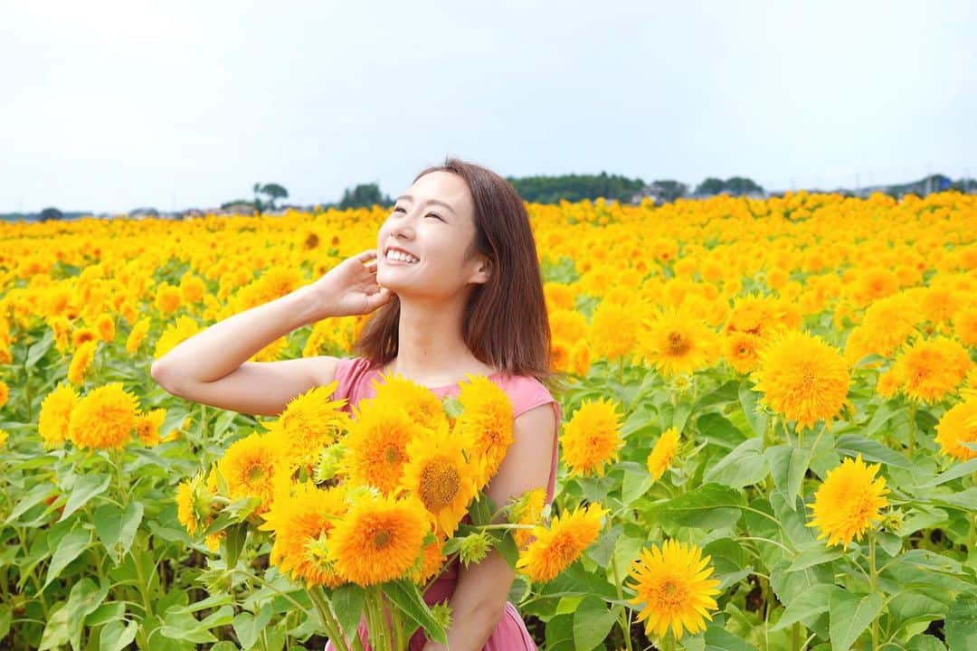 筒井萌子のインスタグラム：「* あけのひまわりフェスティバル🌻最終日に 作品撮りしてきましたー*•.❥◡̈*.。 大好きなカメラマンさん達と一緒に♪♪ めーちゃくちゃ綺麗でした☺️ @martsug & @ak.ymt  ありがとうございます♪ ・ #筒井萌子 #女優 #actress #モデル #model #岡山  #shooting #instagood #instalike #converse #撮影 #followme #instalike #ゴルフ #ゴルフ女子 #ゴルフコーデ #골프 #좋아요반사 #좋아요그램 #좋아요환영 #데일리그램 #패션 #오오티디 #카페 #ジップライン #サンシャインシティ #池袋」