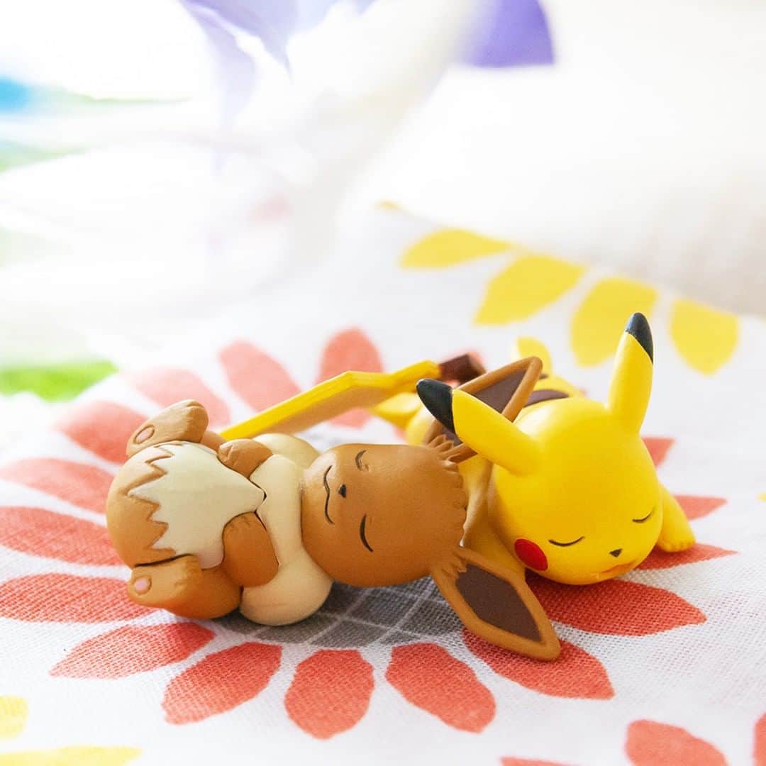 のインスタグラム：「【今日のピカチュウ】 ピカチュウとイーブイは眠っているみたい💤 夏を満喫して、はしゃぎすぎちゃったのかな❓🌻 #pikachu #eevee #pokemon #pikachu_snap #photooftheday #relax #nap #zzz #summer #autumn #fall #ピカチュウ #イーブイ #ポケモン #休憩 #リラックス #お昼寝 #夏 #秋」