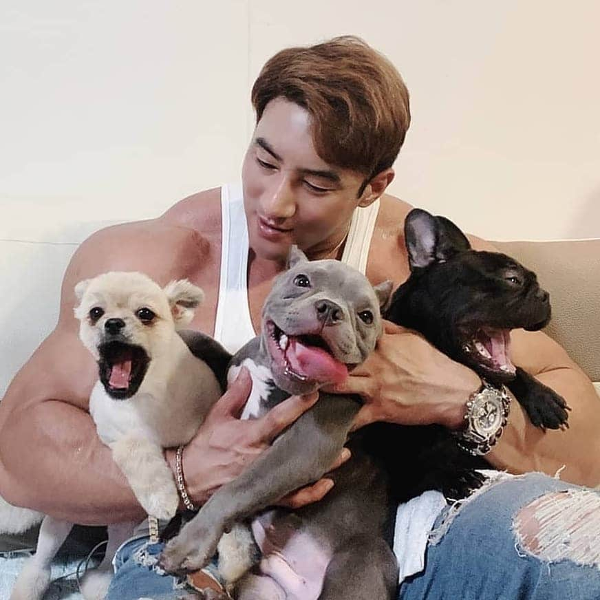 CHUL SOONさんのインスタグラム写真 - (CHUL SOONInstagram)「Cats or dogs? . . . #myfamily #dogs #cats #pets #puppies #chulsoon2020」9月2日 18時06分 - chul_soon