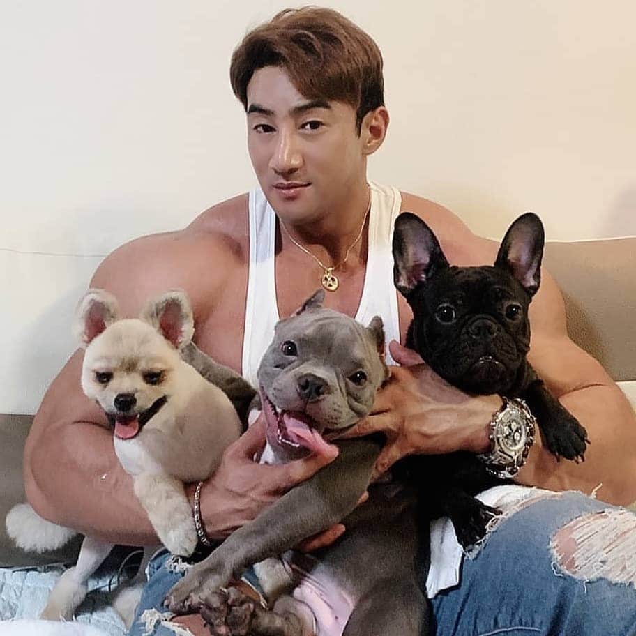 CHUL SOONさんのインスタグラム写真 - (CHUL SOONInstagram)「Cats or dogs? . . . #myfamily #dogs #cats #pets #puppies #chulsoon2020」9月2日 18時06分 - chul_soon
