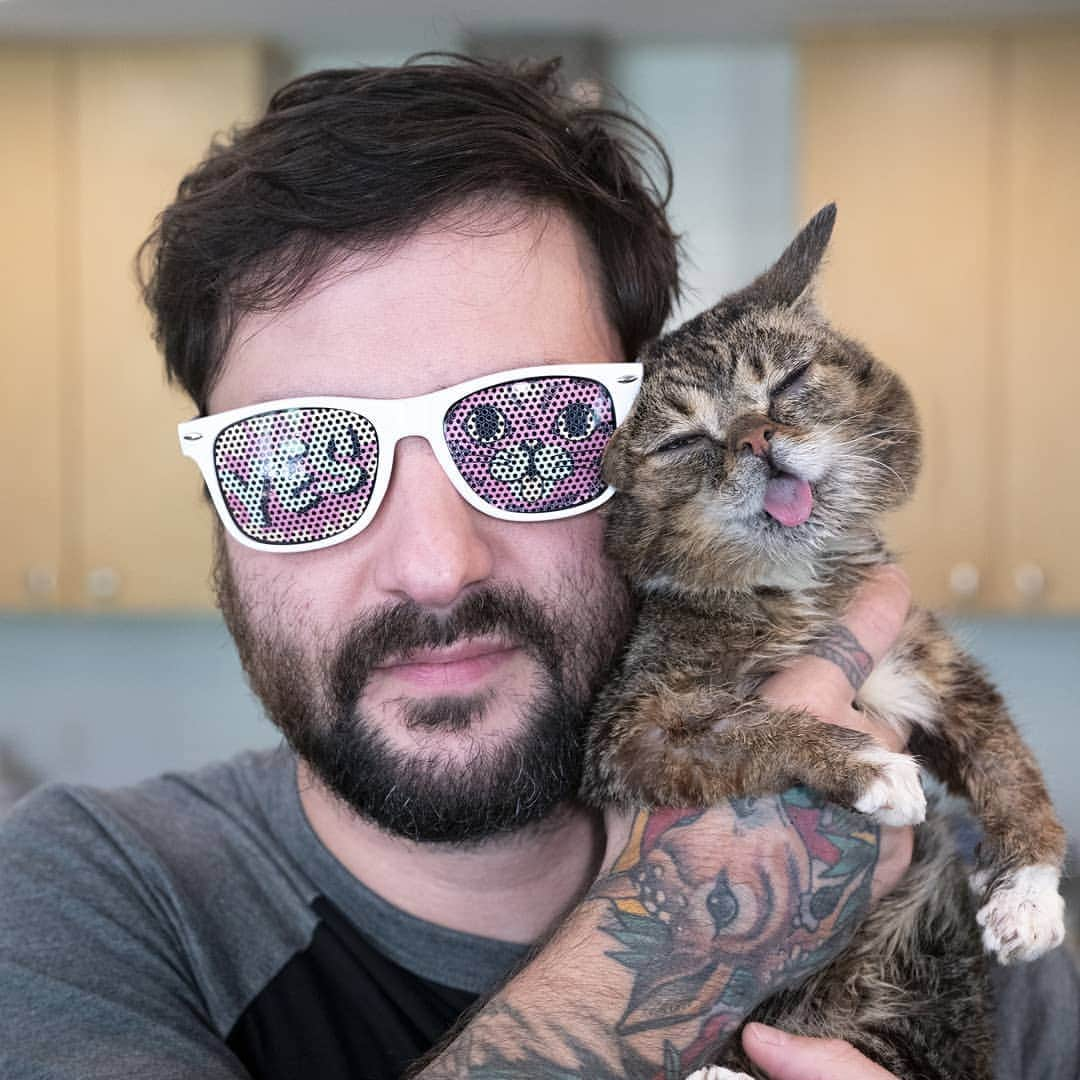 Lil BUBさんのインスタグラム写真 - (Lil BUBInstagram)「Amazing new stuff in the BUB STORE, just in time for BUB's Labor Day Sale at the link in BUB's bio (www.lilbub.com/store) 15% off everything plus free US Shipping on orders over $40. As always, a portion of all proceeds helps special needs pets. #bubstuff #goodjobbub #lilbub」9月3日 4時35分 - iamlilbub