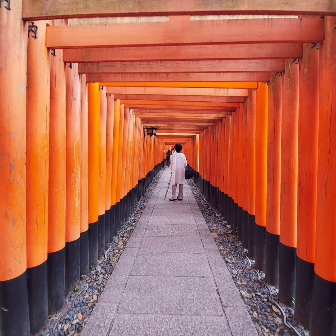 neokazumiさんのインスタグラム写真 - (neokazumiInstagram)「﻿ 雨の(大雨の)京都ぶらり旅﻿ ﻿ 若い子から写真の撮り方学んだり  御朱印帳デビューしたり  贅沢なお寿司頂いたり  みちちゃんと2人きりの旅となりました (笑)💓 ﻿ #伏見稲荷大社#竹林の小径#御朱印帳デビュー #渡月橋は興味無し#さえ㐂#八坂庚申堂#嵐山」9月2日 20時04分 - neokazumi