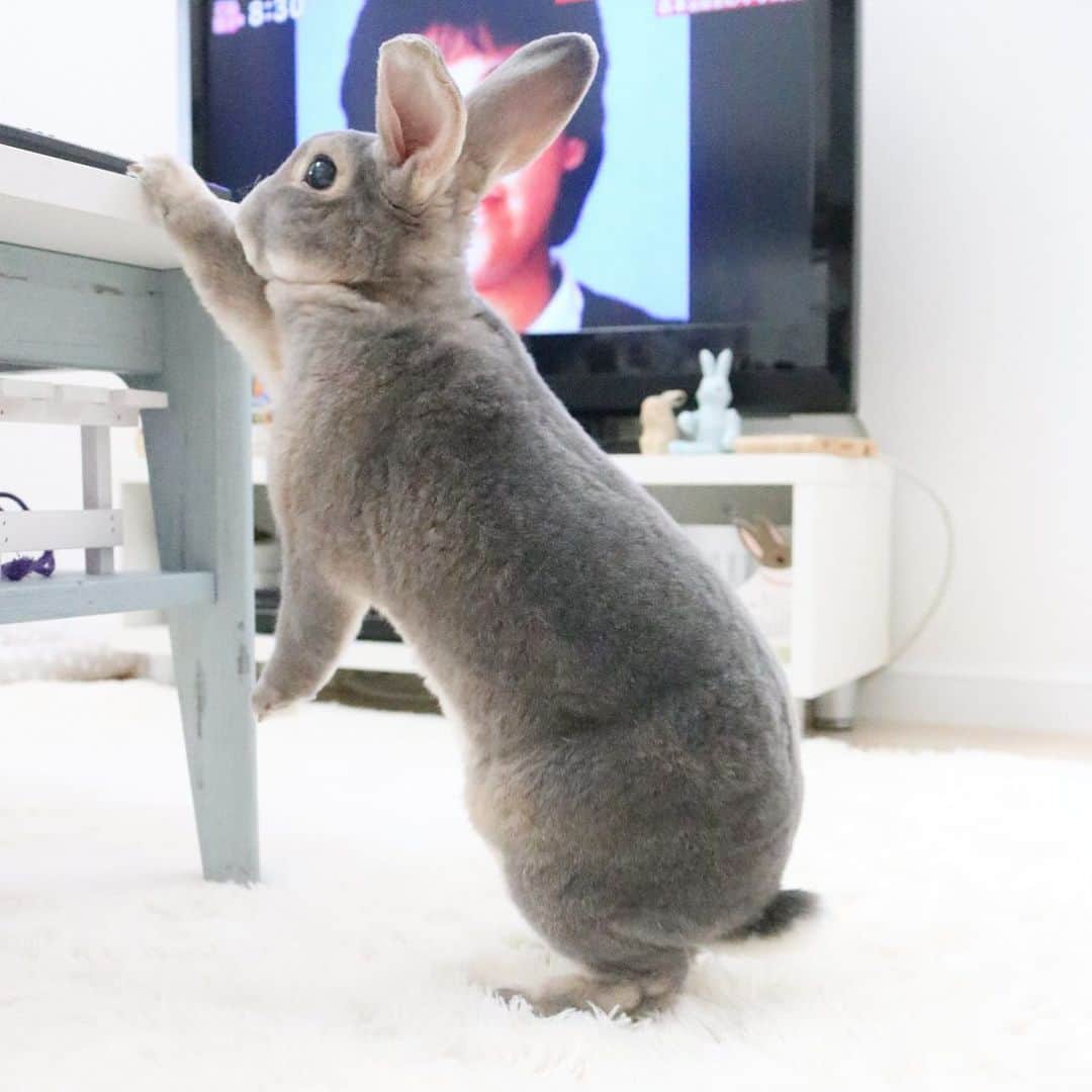 Kayoのインスタグラム：「けしからん腰パンの線♡」