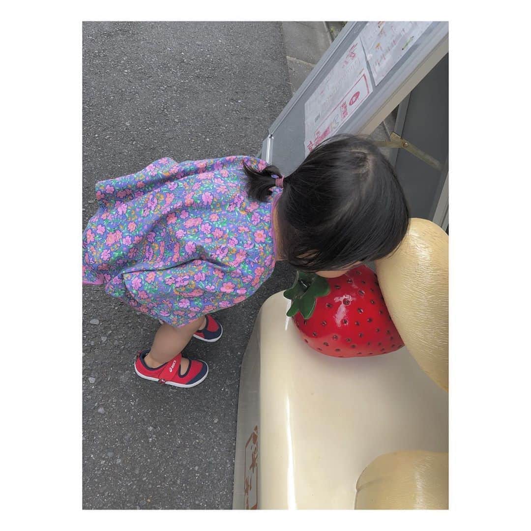 高垣麗子さんのインスタグラム写真 - (高垣麗子Instagram)「・ ・ ・ おっきい いーちーごー おーいーでー  あむ‼︎ と言いながら 嬉しそうに何度も食べていた 日曜日の青山🍓 ・ ・ #2歳 #言葉が少しずつ増えてきた」9月2日 20時15分 - reikotakagaki