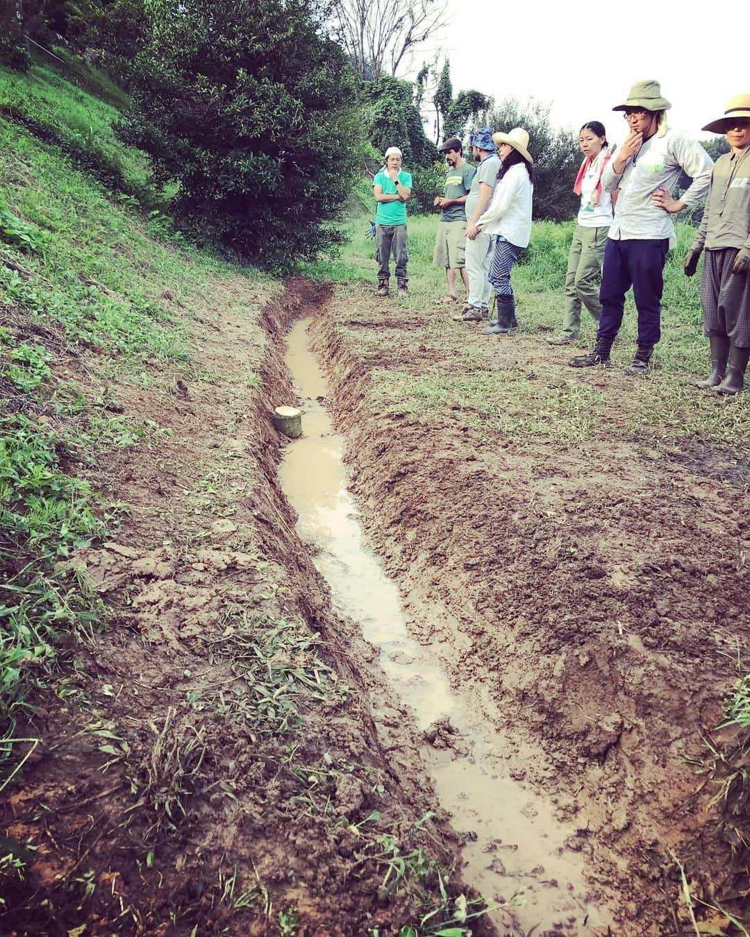 三宅洋平さんのインスタグラム写真 - (三宅洋平Instagram)「(Swale スゥエイル作り) 山裾の水の溜まるポイント。簡単な水平器で平行を取りながら、等高線に沿って溝を掘る。水平なので染み出した水は流れず、溝に沿ってゆっくり地中に染み込んでいく。 コンクリのU字溝は、土地の外へ水を流し去ってしまう。スウエィルは、地中に水を分散する。 枯れた土地では井戸に水を戻し、濡れた土地では湿気を分散して土壌を改良する事ができる。 #里山リペア #吉備中央町 #マットビボウト學ブ #パーマカルチャー #岡山 #大地の再生」9月2日 20時17分 - miyake_yohei