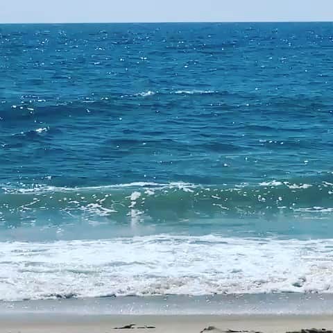 のインスタグラム：「By far the best part of my summer have been all the whale sightings...welcome back! Not to mention 🐬 🐢 🦈 #life #whales #endofsummer #laborday  #restrictfishing  #bigpicture #saveouroceans #bunkerfishequalswhales #cleanwater #reduceboattraffic  #rg #easthamptonstar」
