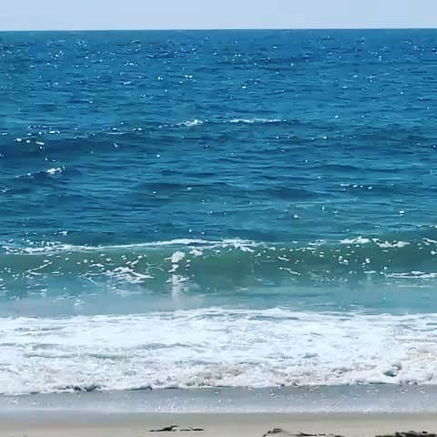 サーフバザーのインスタグラム：「By far the best part of my summer have been all the whale sightings...welcome back! Not to mention 🐬 🐢 🦈 #life #whales #endofsummer #laborday  #restrictfishing  #bigpicture #saveouroceans #bunkerfishequalswhales #cleanwater #reduceboattraffic  #rg #easthamptonstar」