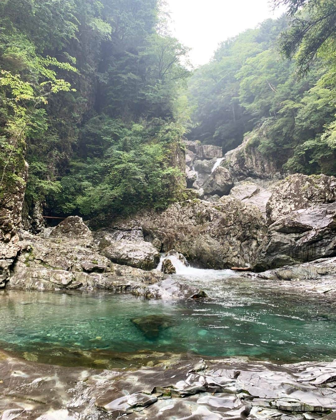 稲富菜穂さんのインスタグラム写真 - (稲富菜穂Instagram)「天河神社へ行った後は探検🏃‍♂️💨. . 橋が見たい！の一心で車ぶーんっ🚗してたら見つけて渡りたいが為に登山した😂. . 結果から言うともう辛くて行きたかった橋へは渡れず...でしたが😂滝を見る事が出来た😆✨. . もうめちゃくちゃ水が綺麗で、 綺麗すぎてエメラルドグリーンやってん🥺✨. . 景色もこんなに綺麗なところあるん？って位の圧巻やし、空気も美味しくって、水しぶきが気持ちよくて涼しくて、とにかく癒されるばかり👏💕. . 次はもう少し上へ登りたいなぁ😌💨. あと水遊びしてる方も多かったから来年私もここで水遊びしたすぎる🥺👏. それまで痩せておこう...🥺👏👏. . #奈良県 #奈良県天川村 #天川村 #みたらい渓谷 #御手洗渓谷 #川遊び #滝 #水が綺麗 #自然が豊か #最高でした」9月2日 20時46分 - inatomi74