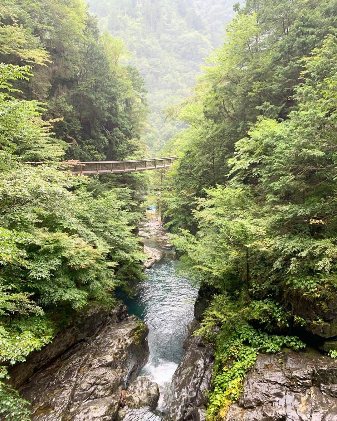 稲富菜穂さんのインスタグラム写真 - (稲富菜穂Instagram)「天河神社へ行った後は探検🏃‍♂️💨. . 橋が見たい！の一心で車ぶーんっ🚗してたら見つけて渡りたいが為に登山した😂. . 結果から言うともう辛くて行きたかった橋へは渡れず...でしたが😂滝を見る事が出来た😆✨. . もうめちゃくちゃ水が綺麗で、 綺麗すぎてエメラルドグリーンやってん🥺✨. . 景色もこんなに綺麗なところあるん？って位の圧巻やし、空気も美味しくって、水しぶきが気持ちよくて涼しくて、とにかく癒されるばかり👏💕. . 次はもう少し上へ登りたいなぁ😌💨. あと水遊びしてる方も多かったから来年私もここで水遊びしたすぎる🥺👏. それまで痩せておこう...🥺👏👏. . #奈良県 #奈良県天川村 #天川村 #みたらい渓谷 #御手洗渓谷 #川遊び #滝 #水が綺麗 #自然が豊か #最高でした」9月2日 20時46分 - inatomi74