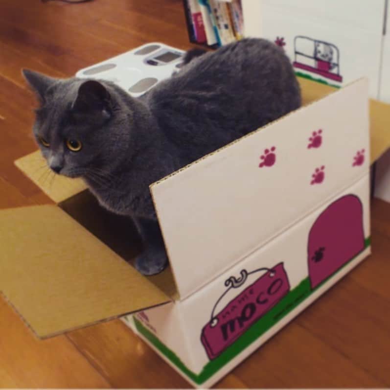 チキン南蛮カレーのルウ王子のグルメインスタ