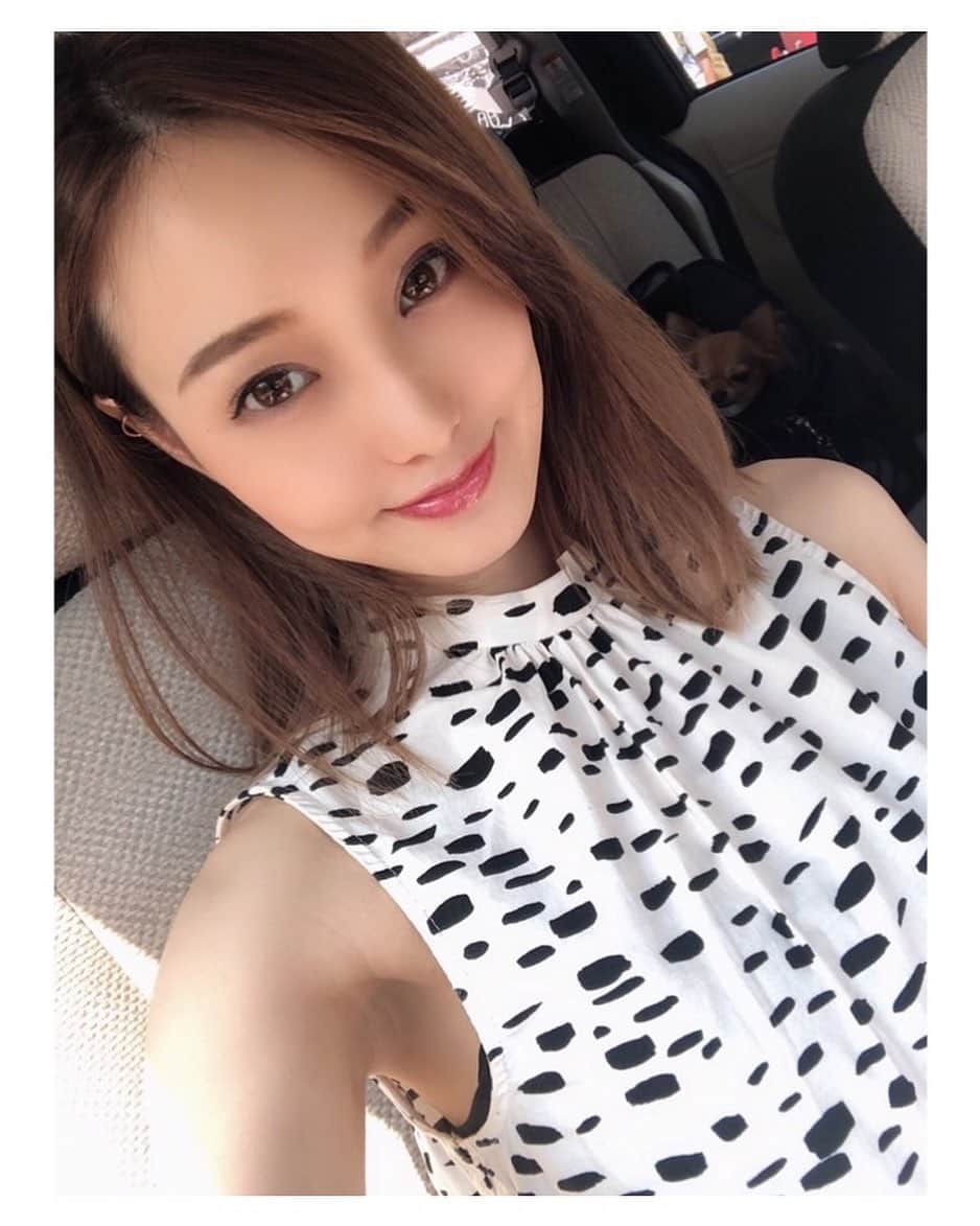 のインスタグラム：「☀️ ❤️ ❤️ ❤️ 後部座席で美女に挟まれたチャールズ氏はルンルンでした😂 男の子だねぇ🥴💕 #うちのいぬ」