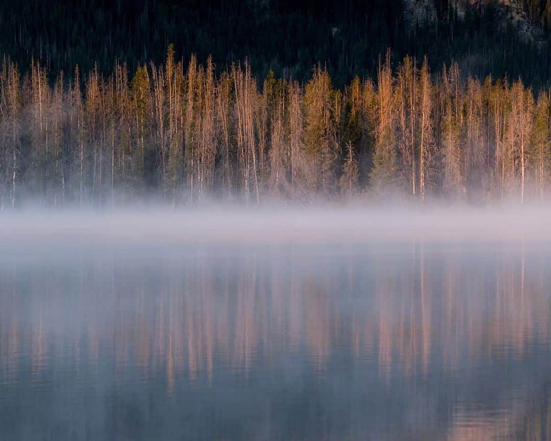 National Geographic Travelさんのインスタグラム写真 - (National Geographic TravelInstagram)「Photo @stephen_matera | Fog hovers on the surface of a mountain lake at sunrise in the Sawtooth Range, Idaho. The Sawthooth Mountains reach elevations of over 10,000', with Thompson Peak reaching an elevation of 10,751'. Much of the mountain range is within the Sawtooth Wilderness, part of the Sawtooth National Recreation Area and Sawtooth National Forest. Follow me @stephen_matera for more images like this from Idaho and around the world. #sawtoothmountains #idaho #wilderness」9月2日 21時07分 - natgeotravel