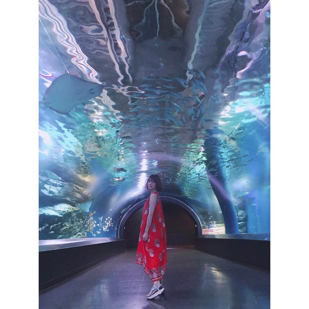 福田沙紀さんのインスタグラム写真 - (福田沙紀Instagram)「🐠🐡🐬#水族館#수족관」9月2日 22時18分 - sakifukuda_official