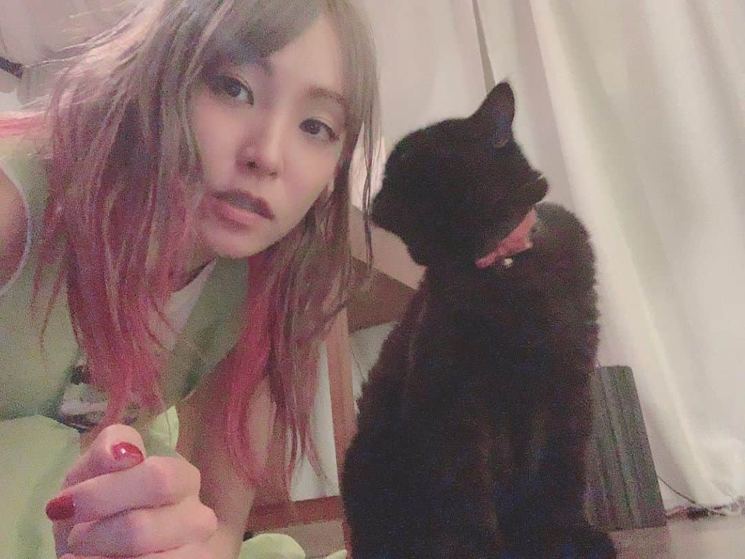 LiSAさんのインスタグラム写真 - (LiSAInstagram)「夏の終わりの夜。 あられはぜんぜん止まってくれない🐈 #昨日から9月 #あられに会いに🐈」9月2日 22時25分 - xlisa_olivex