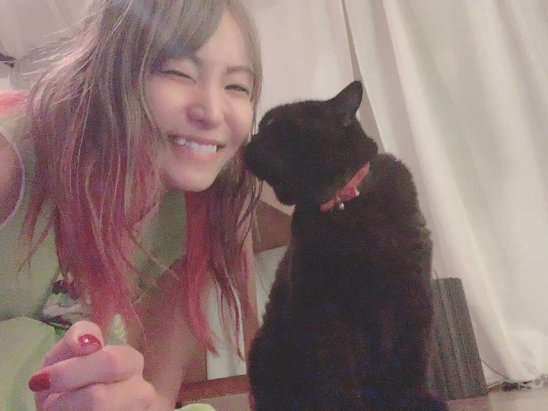 LiSAさんのインスタグラム写真 - (LiSAInstagram)「夏の終わりの夜。 あられはぜんぜん止まってくれない🐈 #昨日から9月 #あられに会いに🐈」9月2日 22時25分 - xlisa_olivex