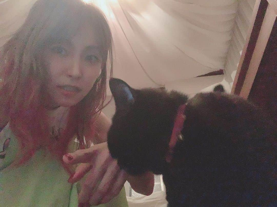 LiSAさんのインスタグラム写真 - (LiSAInstagram)「夏の終わりの夜。 あられはぜんぜん止まってくれない🐈 #昨日から9月 #あられに会いに🐈」9月2日 22時25分 - xlisa_olivex