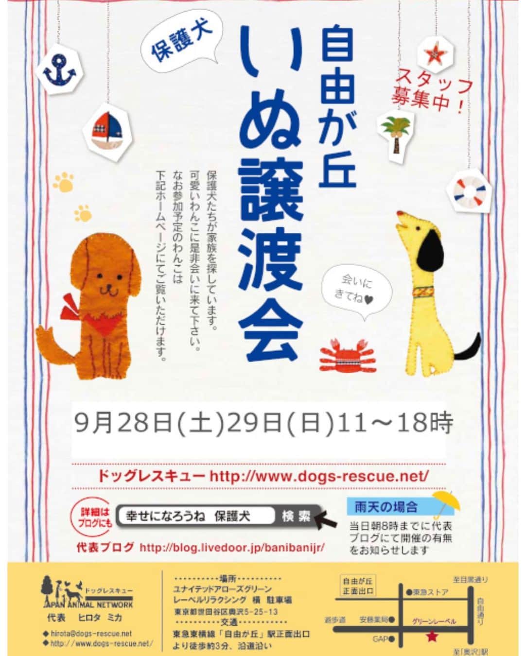 のインスタグラム：「今月も 自由が丘でドッグレスキューの 保護犬たちの「譲渡会」があります  私のインスタをご覧の方の中に 犬と暮らすことを考えている方が いらっしゃいましたら、その 選択肢の中に、保護犬たちのことを 加えていただけたらと切に願っています  一匹  一匹、壮絶な体験をした いいえ ニンゲンに壮絶な体験をさせられた 犬たちです  私は 知って欲しい その子たちが 何故 こんなにたくさん 存在してしまっているのかを  保護犬たちは、 そんな経験をしていても 扱いにくい、一緒に暮らしにくい子たちでは決してありません  正直  高齢の犬もいます 虐待や  事故で 体が不自由な子もいます 劣悪な環境下に居させられたために 病気を持ってしまった子もいます  もちろん  保護された親犬から 元気に生まれてきた子たちも居ます  各地で保護された 犬たちは、みんなドッグレスキューのスタッフのみなさんからたくさんの愛情を受けて、今日こうして生きています❗️ 知って欲しいのです❗️ 見て欲しいのです❗️ ニンゲンに酷い目に遭わされた犬たちが それでも ニンゲンを愛して、素直に生きている姿を  譲渡会は 室内ではないので、お天気次第で 中止になってしまう場合もあります お越しになられる場合は、 ホームページで詳細をお確かめくださいね  私も、 時間を作ってなんとか譲渡会に行きたいと思っています  みなさんと お会いできたら 嬉しいです❗  #ドッグレスキュー自由が丘 #いぬ譲渡会 #保護犬」