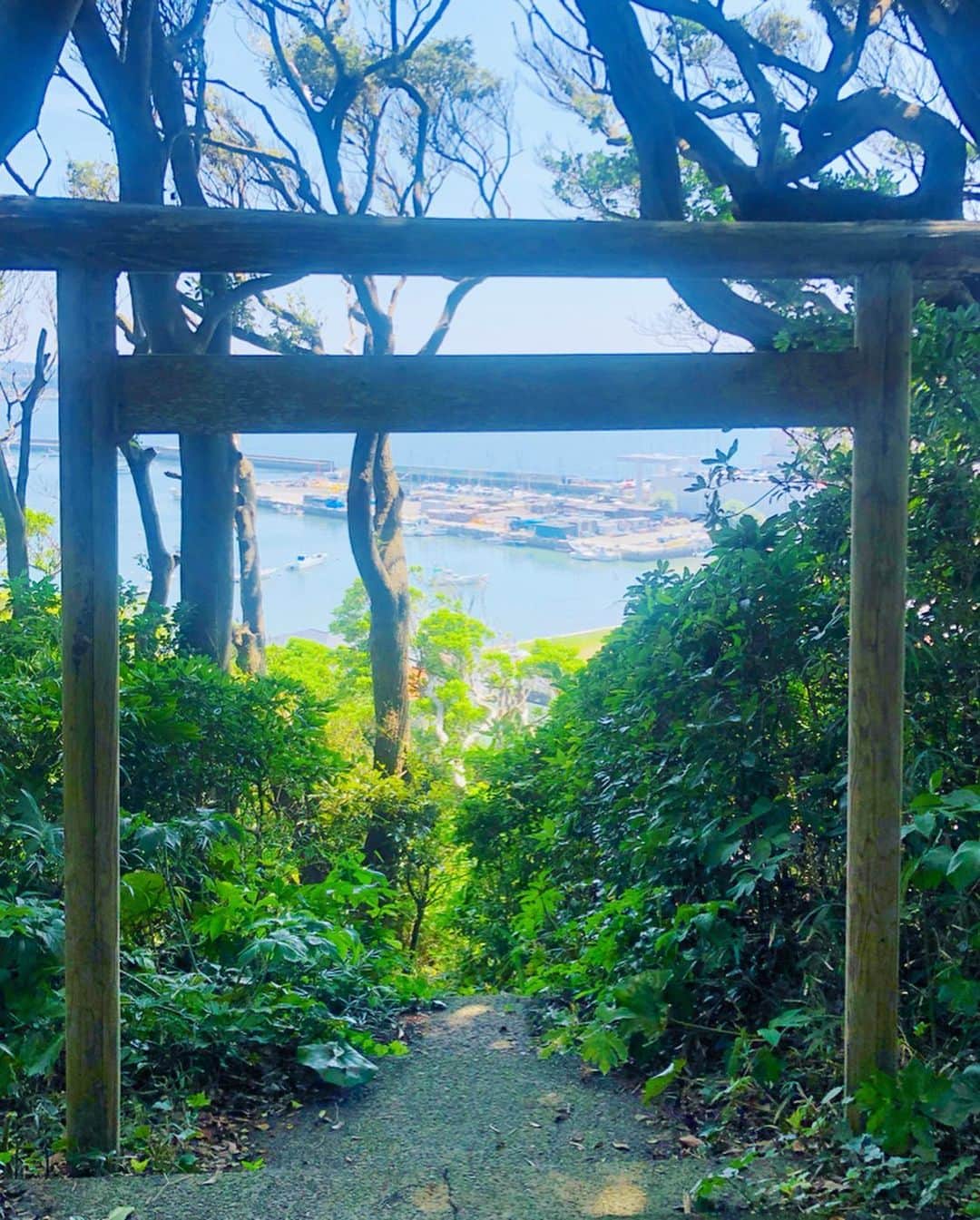 Hiroe Hiranoさんのインスタグラム写真 - (Hiroe HiranoInstagram)「この週末は、近所の #葉山マリンフェスタ に→→ 佐島の #天神島 へ。#天然記念物の指定されている 日本屈指の #自然保護 区の場所🌱名前にも惹かれました✨ . 綺麗な青や黄色の魚🐟🐠も多くいた。 美しい自然を体感すると、自然を大切にしたい想いが増す。 都会のど真ん中に住んでいた時とは、 違う価値観やわたしのフィルターが確実に変化した。 . 三浦海岸は、山も海も体感できるので少し足をのばせば 日帰りでも楽しめる場所。 都内から自然を満喫したい人にはおススメです。 インフラが整っているのも良きポイント💡 . 私にとって逗子駅や新逗子駅まで、渋谷や新宿、恵比寿とか 1時間以内で1本で行けちゃうし。 羽田空港まで一本というのが良かった。しかも始発。 . 海沿いのバスに乗って、気になるビーチに降りて 散策する行き当たりばったり企画。 あ、というても相方さんと2人だけ😂 . 田舎道をバスで走る感じが、 昭和を感じノスタルジックな気分でよかったなぁ⭐️ . お洒落なレストランやカフェよりも、 地元に愛される魚屋さんの営むお寿司屋さんに惹かれ 訪れてみたら、地魚が最高に美味しかった❗️🍣 . 今年の夏は、日本を満喫中ー🇯🇵❗️ 秋は、カリフォルニアでーす🇺🇸 . #休日 #海のある生活 #oceanlife #lifestyle #この夏海に行きすぎて、肌の焼け方が小学生なみ😂 美容家と名乗って良いでしょうか？💦 笑 #夏 #summer #紫外線を気にするよりも太陽の下で思いっきり遊びたい #ビフォアーケアとアフターケアはしっかりと #vitamin #probiotics #polyphenol ✌️#playhardworkhard」9月2日 22時50分 - hiroe_hirano