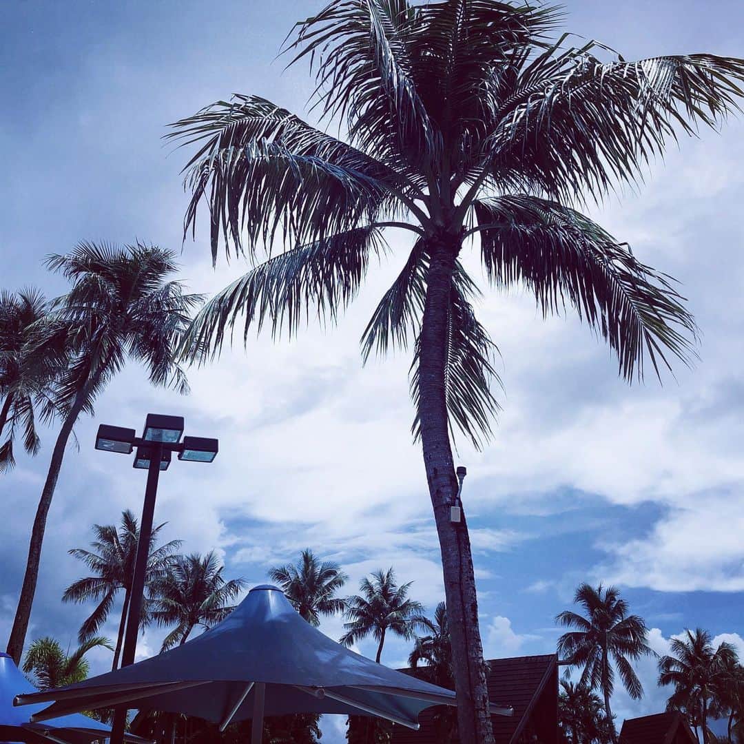 西島知宏のインスタグラム：「#guam #pacificislandclubguam」