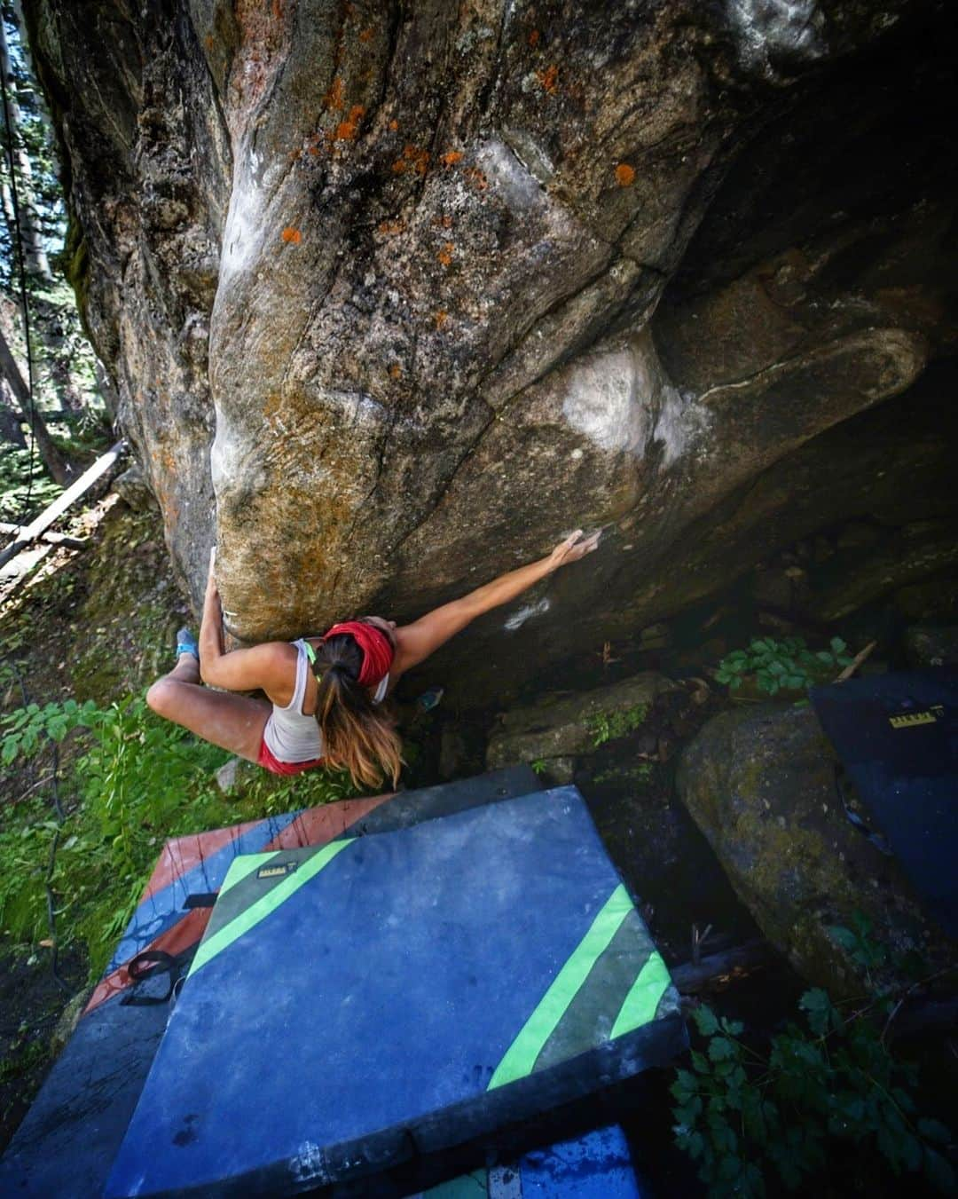 Alexis Mascarenasのインスタグラム：「Spent labor day weekend working out the moves on this new @a.geiman @nick_climb boulder 💕 really excited for this one!  #coloradobouldering #bouldering #climbing #alpineseason #organicclimbing #frictionlabs #climbingtraining #compressionboulder #highball」