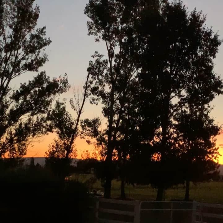 ストーン・コールド・スティーブ・オースチンのインスタグラム：「Good morning from Nevada. And now, more coffee.  #laborday  Sound ⬆️」