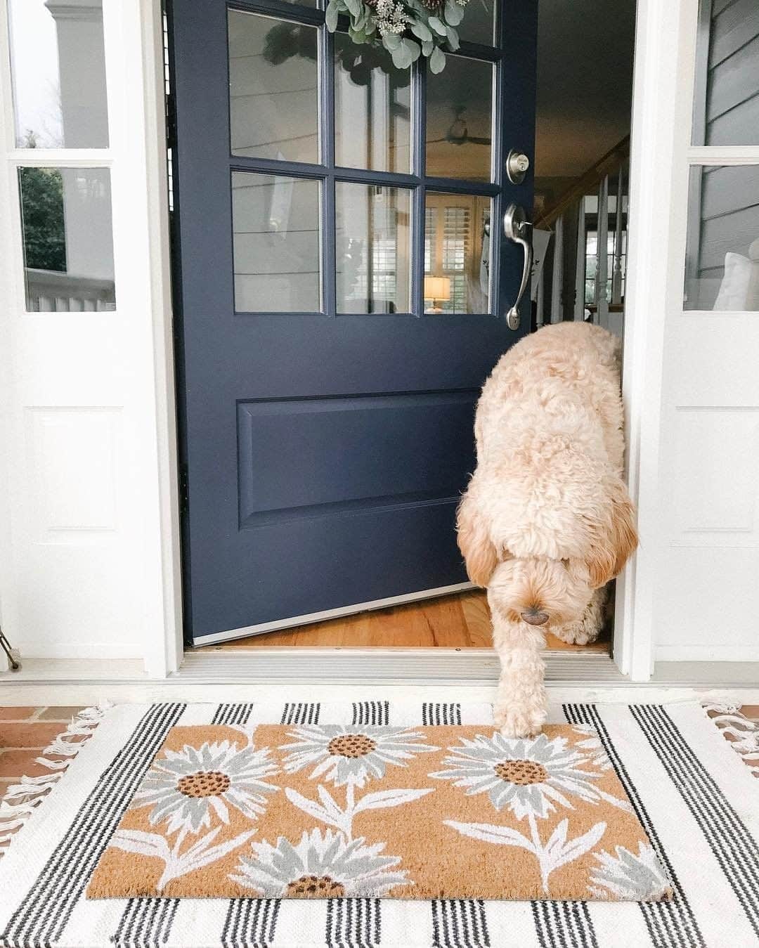 のインスタグラム：「As we close the door on the dog days of summer, who’s ready to see what fall has in store? 🍂 (📸: @houseofbluehues)」