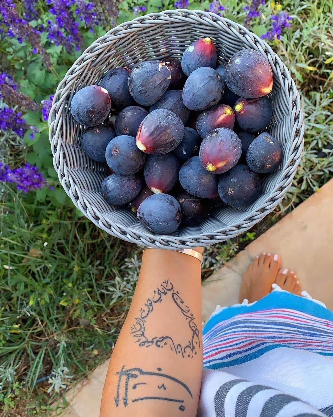 ジョエル・マーディニアンさんのインスタグラム写真 - (ジョエル・マーディニアンInstagram)「Al Hobb #love #alhob #figs #mygarden #summer #fruit #delicious #yum」9月3日 0時32分 - joellemardinian