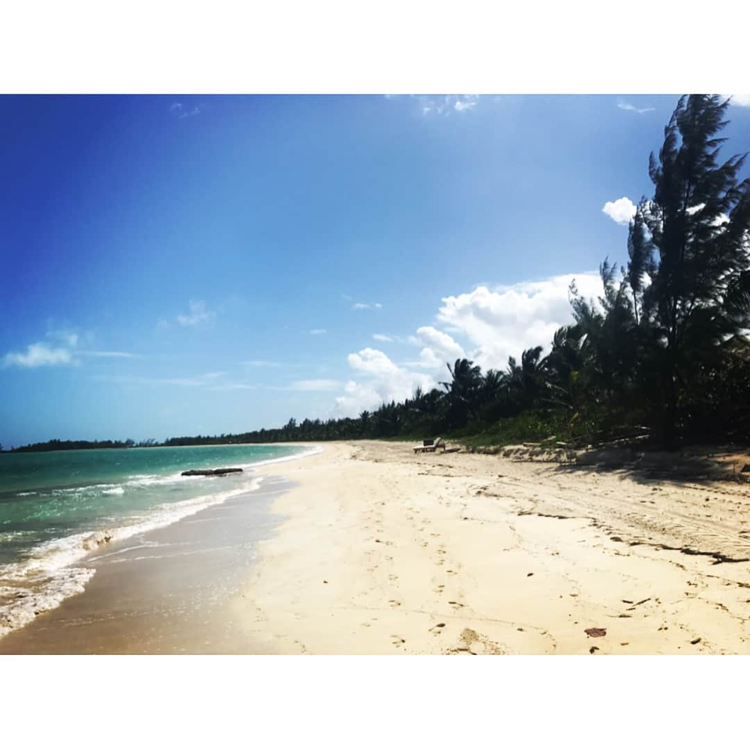 サラ・ウェイン・キャリーズさんのインスタグラム写真 - (サラ・ウェイン・キャリーズInstagram)「🇧🇸 💔🇧🇸💔🇧🇸 holding my bahamian friends in my heart today.  visit @pumpkintheraccoon and @bahamasstar if you want to help the relief effort 🇧🇸💔🇧🇸💔🇧🇸💔🇧🇸 #dorian #bahamas #relief #grandbahamasisland #hurricanedorian #abaco」9月3日 2時42分 - sarahwaynecallies