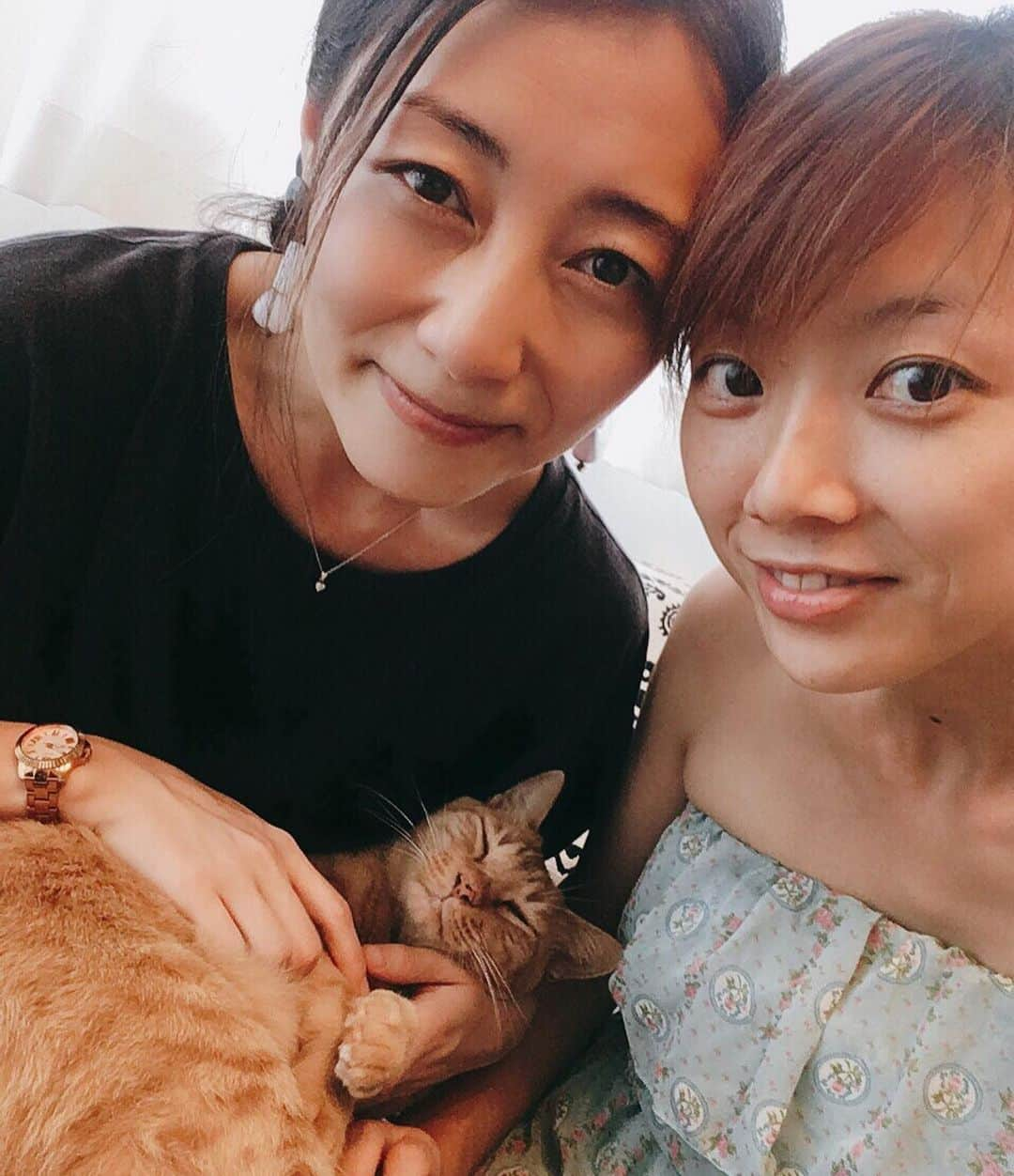 大湯みほさんのインスタグラム写真 - (大湯みほInstagram)「……… ひーちゃん💛ココちゃん💗 お邪魔しましたぁ〜🏠 ・ ひーちゃん💗の新しい家族✨ココちゃん🐈ミントちゃん😽本っっっ当〜✨可愛かったぁ〜(๑˃̵ᴗ˂̵) ・ ミントちゃんは、ちょっとだけ人見知りだったから🌱また次こそは抱っこさせてもらお〜っと✨ココちゃん💗がまるで赤ちゃん🍼みたいでポカポカしてとても可愛かった🐈です！✨ ・ 途中、旦那さまが帰ってきて🚗地元を案内がてらドライブに連れてってくれましたぁ✨優しい〜（ ; ; ）💕ありがとう！✨ また、すぐあそびに行くね🙋‍♀️ ・ #bestfriend  #congratulations #happy #sweet #home #family #cat #🐈 #😽 #heartful #wonderful #nyanderful #thankyou  #newlife #start #💏」9月3日 3時07分 - nukazukemiho0320