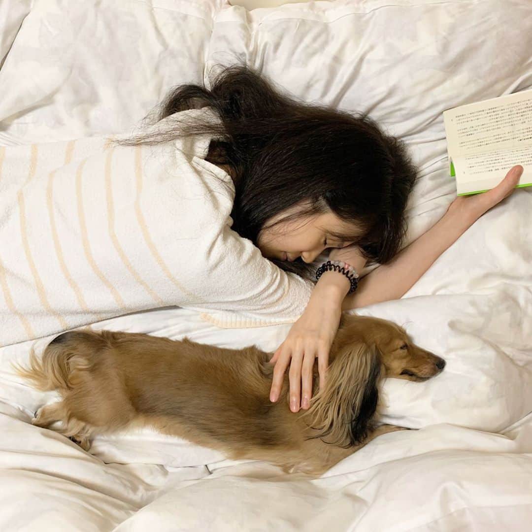 豊田麻子さんのインスタグラム写真 - (豊田麻子Instagram)「8月はやっと落ち着きを取り戻せた時間でした。涙が出るまで笑ったり、時間を気にせず料理をしたり、黙々と働いたり。愛犬と本を両手に寝落ちできるなんて最高。いつも変わらないでいてくれる場所や仲間がいることに感謝しました🤝  #cestmavie」9月3日 12時58分 - asako_sen