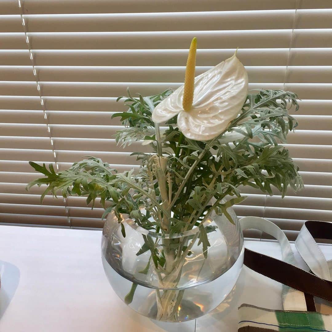 アンドゥミさんのインスタグラム写真 - (アンドゥミInstagram)「この白いアンセリウム、モダンだなぁ〜〜！ コーティングしてあるみたいで不思議な質感。  展示会のお花は今回も #zukky の鈴木君にお願いしました。 以前は有名フラワーショップなどにお願いしたりしていましたが、なかなか気持ちが伝わらず ・・・。 元同僚の鈴木君がアパレルを辞めてお花屋さんになったので、お願いしています。 @_._zukky.com_._since1997  展示会前に服の色やイメージを伝えて、イイ感じに持って来てくれます！ いつも無理な注文ありがとう😊 ＃zukky」9月3日 13時23分 - undemishop
