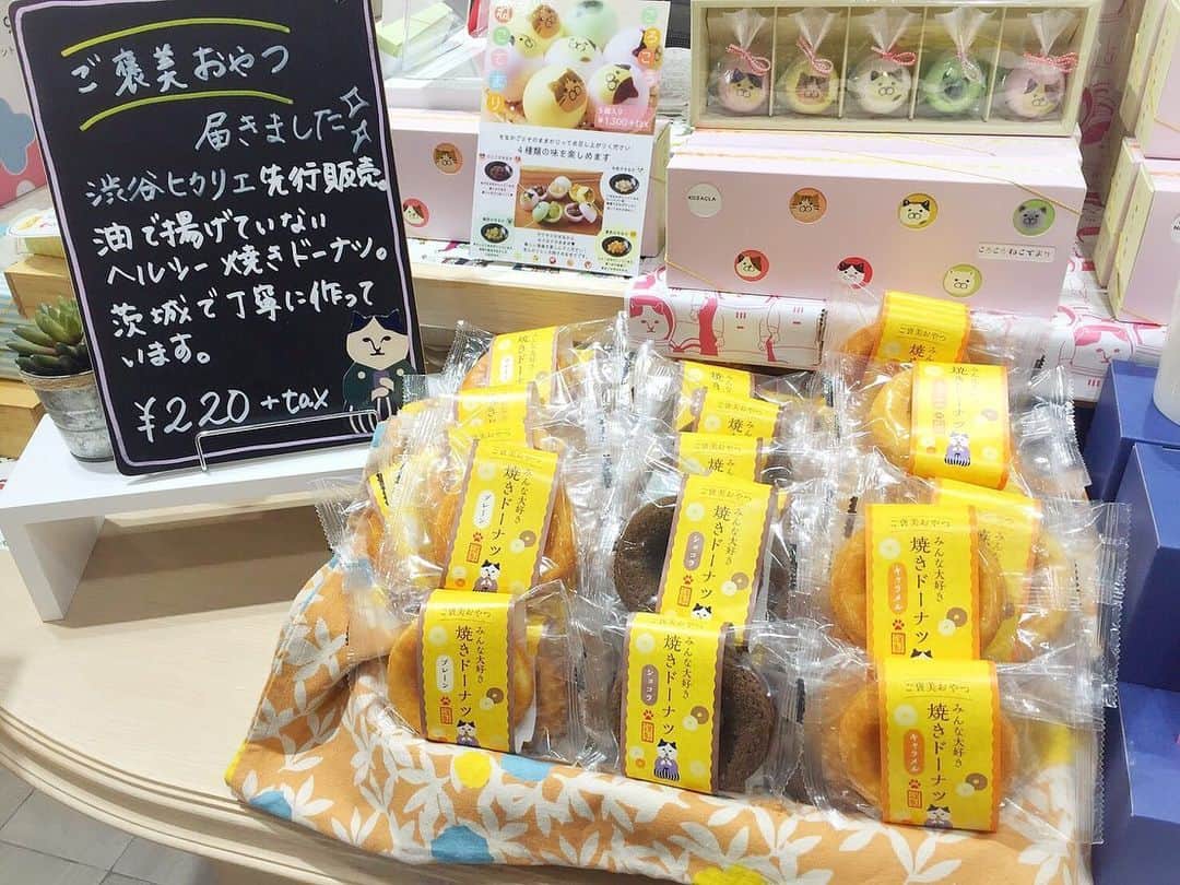 ねこのインスタグラム