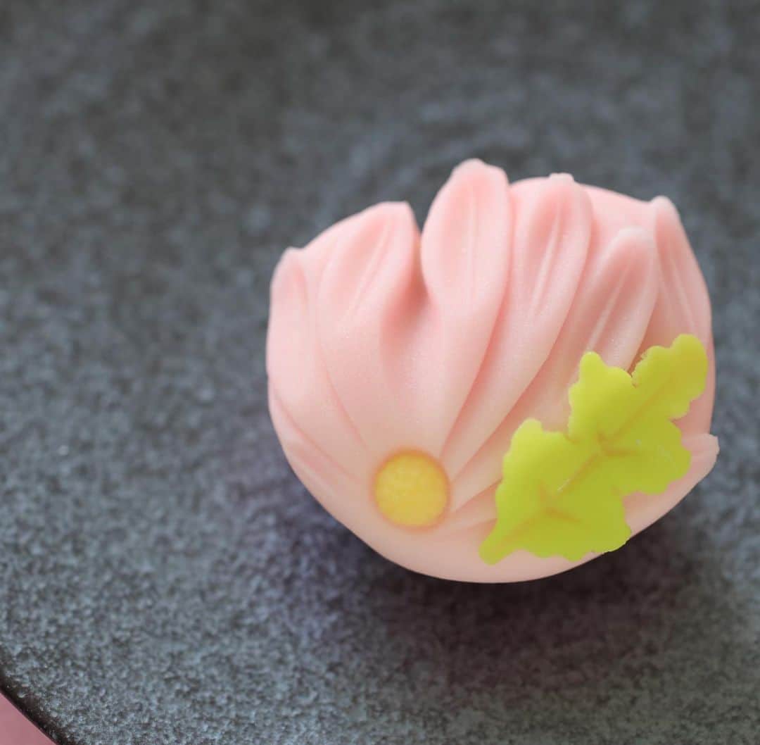 Toru Tsuchieさんのインスタグラム写真 - (Toru TsuchieInstagram)「今日の和菓子はねりきりで作った乱菊です。 ねりきりとは白餡に餅や芋を混ぜて作った和菓子で 茶道 で使われる「主菓子」の一種です。 撮影 用に作成しました。  フェイスブックページのいいね！もよろしくお願いします。 https://www.facebook.com/shishisu/ Today's wagashi is  chrysanthemum with Nerikiri. The Nerikiri is the material of wagashi made by mixing the rice cake and yam in white bean. Is a kind of "Jounamagashi" as used in the tea ceremony. The sweets I've made for the shooting.  #福泉堂  #和菓子  #おいしい #funny #my_eos_photo #出雲  #wp_delicious_jp #カメラ好きな人と繋がりたい  #写真好きな人と繋がりたい　 #model #life #可愛い #Japan #wagashi  #جميل #красивый #ファインダー越しの世界 #design #work #ig_color  #happy #Mignon  #igfood #lifestylenipponpic #photooftheday #สวย #sweets #kawaii #yummy」9月3日 6時51分 - choppe_tt