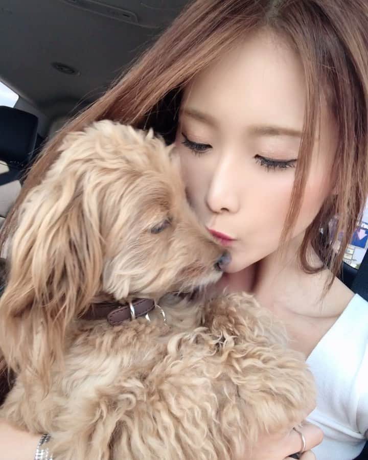 のインスタグラム：「❤️」