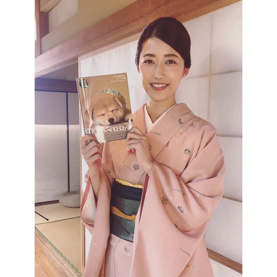 松本彩友美さんのインスタグラム写真 - (松本彩友美Instagram)「豆助の新しいフォトブック📖🐕 ありがたい事に今回も豆助と一緒に写ったカットが使われております✨  #二代目和風総本家 #和風総本家 #木曜9時 #豆助 #芝犬 #豆助オフィシャルフォトブック #彩友美 #modelofficeg #モデルオフィスg #着物撮影 #着物 #日本っていいな」9月3日 9時02分 - sayumi_g