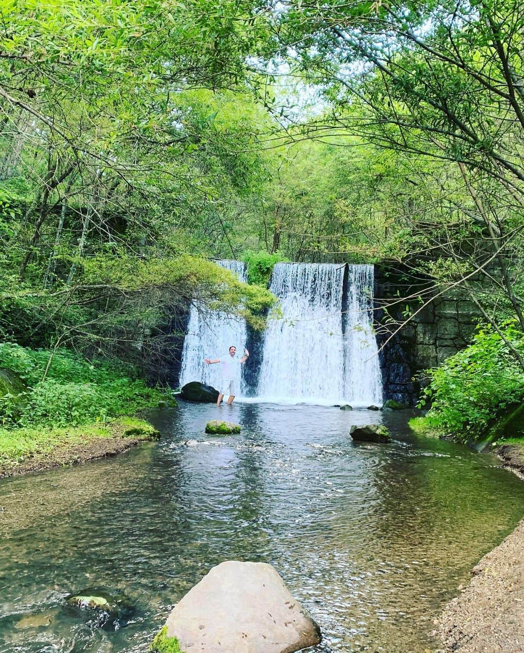 Rie fuさんのインスタグラム写真 - (Rie fuInstagram)「A 10K walk to the magnificent waterfall🐉マイナスイオンの中を泳ぐような、美しい滝への道のり🌲 #waterfall #japanese #countryside #forest #spiritual #nature」9月3日 9時22分 - riefuofficial