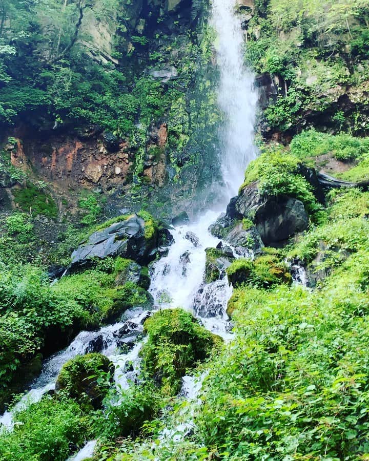 のインスタグラム：「A 10K walk to the magnificent waterfall🐉マイナスイオンの中を泳ぐような、美しい滝への道のり🌲 #waterfall #japanese #countryside #forest #spiritual #nature」