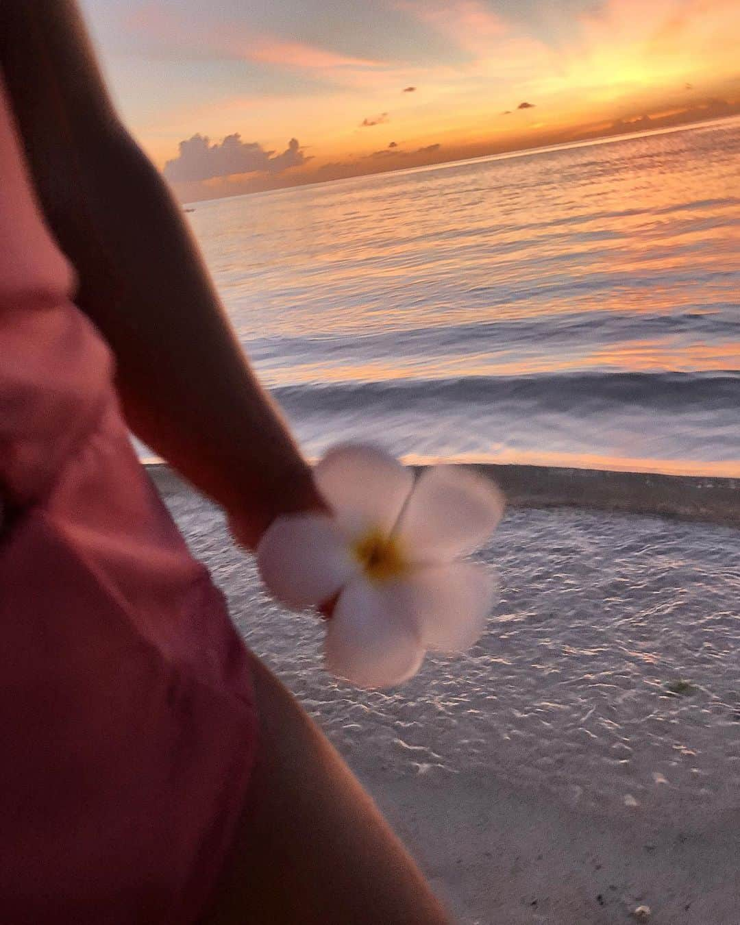 山中美智子さんのインスタグラム写真 - (山中美智子Instagram)「朝から 元気よく スクールに🌼  今日もめーちゃくちゃ よくしゃべる🌴  最近しみじみ 大きくなったなーと思う🧡  自分で靴をぬいで、左と右間違わないで上履きをはき、さっさと 歩いて バイバーイ👋🏾って教室へ行ってしまう👀  うれしくて、ちょっとだけ さみしい朝🐚  さ、母も行ってきまーす🌿」9月3日 10時01分 - alexiastam1988