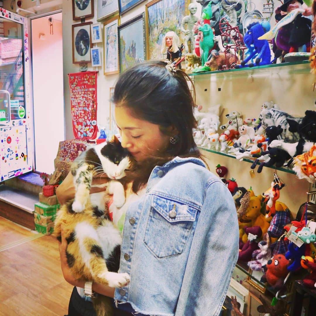 小林希さんのインスタグラム写真 - (小林希Instagram)「ウラジオストクの可愛い雑貨屋さん。 お店によく猫がいるんですよ、ウラジオストク😻 お店のおじちゃんが抱っこして📷とるよーっと言ってくれました。 「おそロシア」のイメージが、ウラジオストクに来ると無くなっていく！😂 ・  #journey #viaje #voyage #travel #japan #旅 #旅女 #トラベル#週末海外#ウラジオストク#ロシア#vladivostok #russia #雑貨屋さん#cat #ネコ」9月3日 10時13分 - nozokoneko