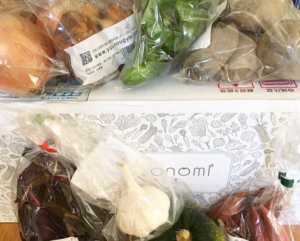 amiさんのインスタグラム写真 - (amiInstagram)「． Happy lunch time😊💕 ． 先日のランチにはお野菜たっぷりの サラダをプラスしましたよ〜☺️❤️ ． @coconomi_141 さんの赤オクラ をたっぷり入れて彩も⭕️ ． サラダが大好きな我が家🥗 @osmic_jp さんのトマトも🍅 ． 美味しくいただきました🙏 ご馳走様でした☺️ ． ． #coconomi#ココノミ#無農薬野菜#器好き#食器好き#花のある幸せごはん#おうちごはん#オスミックトマト#手作りごはん#ランチメニュー#トマトが好きになる魔法#花のある生活#サラダ#サラダ好き#サラダ生活 ．」9月3日 10時29分 - amikuma1219