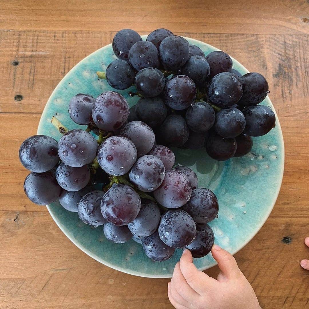 齋藤愛さんのインスタグラム写真 - (齋藤愛Instagram)「九州から送ってもらった葡萄が美味しくって毎日食べています。ぶどうってフォルムといい、、、素晴らしいモチーフにもなるしとても魅力的だ🍇」9月3日 10時45分 - ai___saitoo