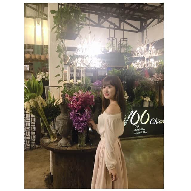 伊豆田莉奈さんのインスタグラム写真 - (伊豆田莉奈Instagram)「🧁💐🍀 #izurinacgm48  #伊豆田莉奈 #いずりな #cgm48 #cafe #チェンマイ #เชียงใหม่  #chiangmai #woochiangmai」9月3日 10時57分 - rina.cgm48official